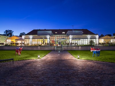 EA Hotel Tereziánský dvůr**** - terasa
