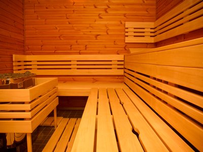 EA Hotel Tereziánský dvůr**** - sauna